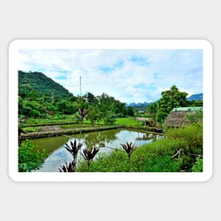 Vietnam - Ha Giang, Village de Tha, Lup, Me Sticker